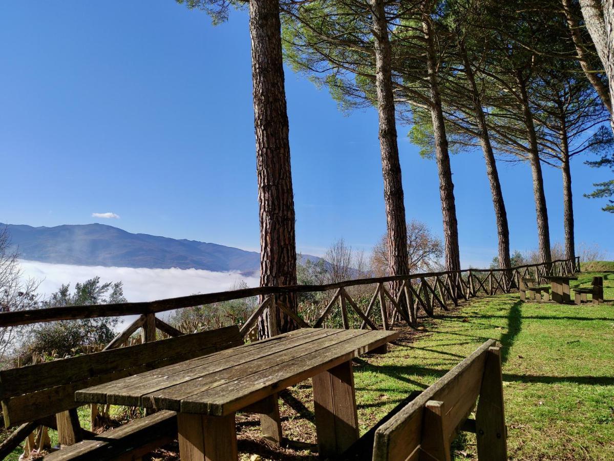 Fonte Degna - Alloggio E Sito Storico Citerna Buitenkant foto