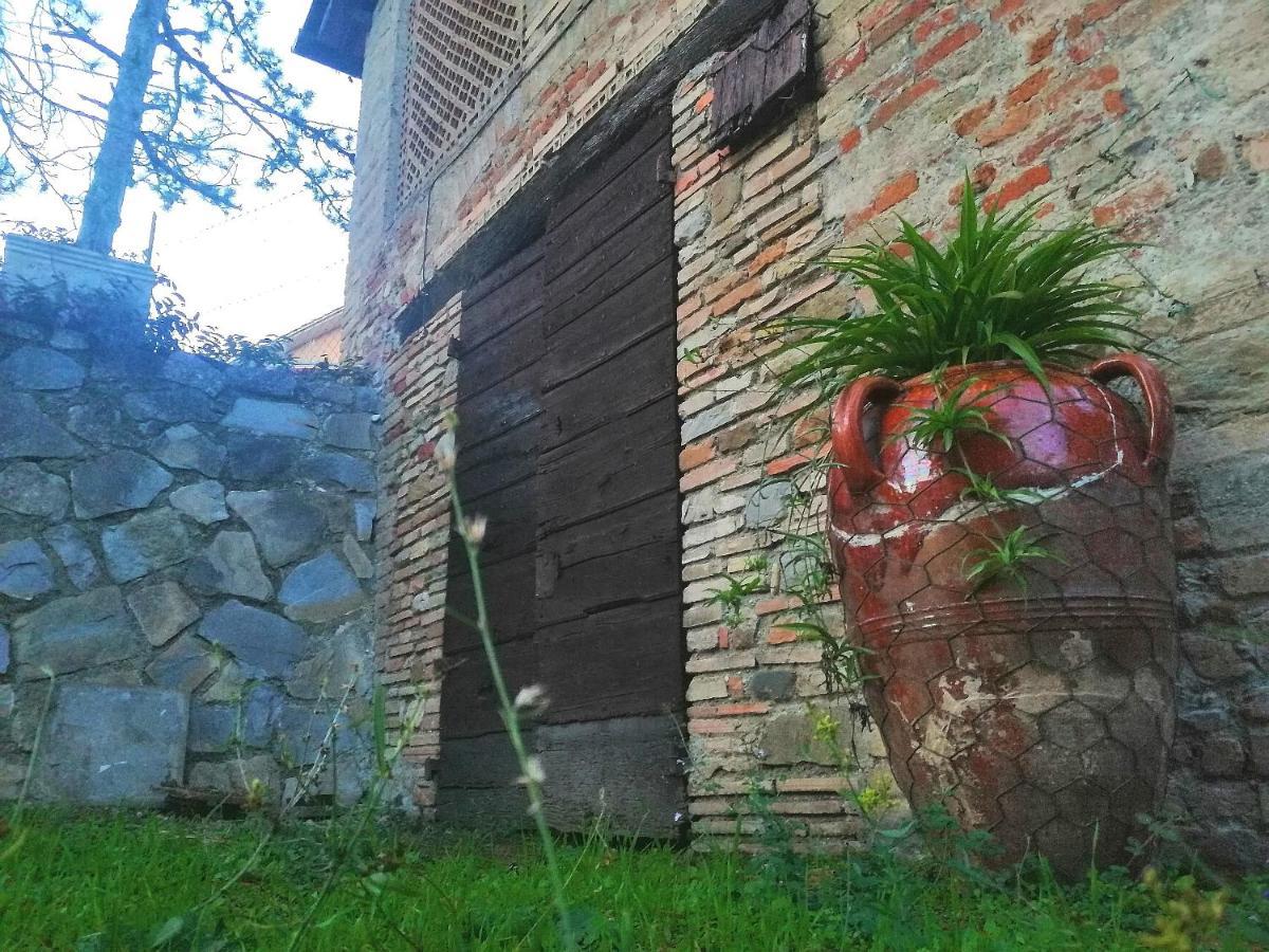 Fonte Degna - Alloggio E Sito Storico Citerna Buitenkant foto