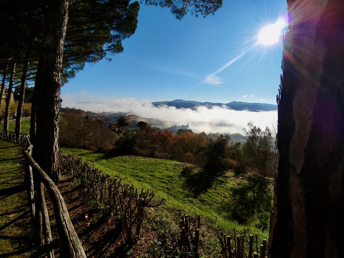 Fonte Degna - Alloggio E Sito Storico Citerna Buitenkant foto