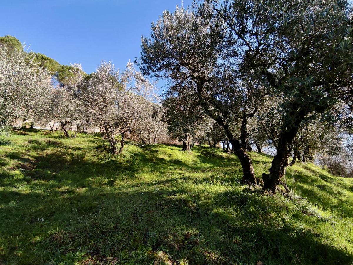 Fonte Degna - Alloggio E Sito Storico Citerna Buitenkant foto