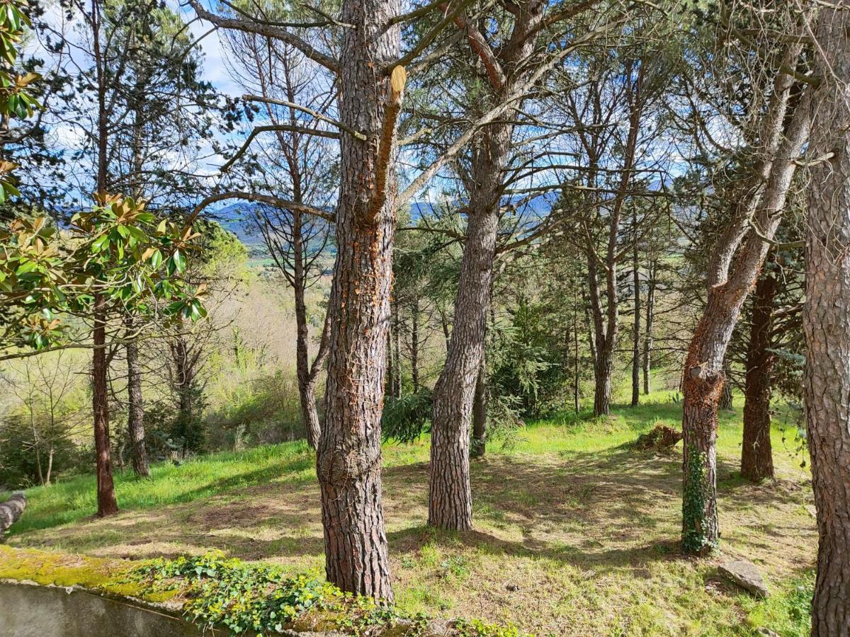 Fonte Degna - Alloggio E Sito Storico Citerna Buitenkant foto